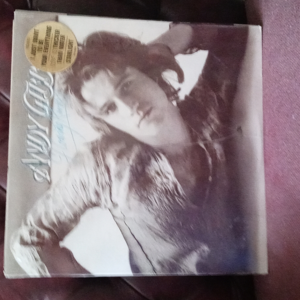 Vinyl record